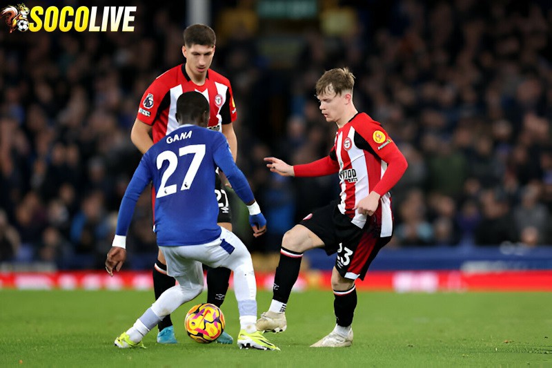 Brentford sẽ tiếp đón Everton trên sân nhà tại vòng 27 Ngoại Hạng Anh